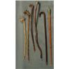 Image 1 : Walking sticks