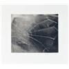 Image 1 : Signed 2009 Celmins Spider Web Serigraph