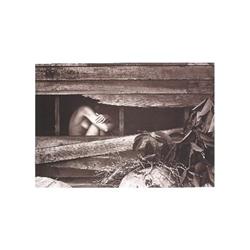 Signed Edwards Elusive Wave Lithograph