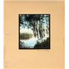 Image 1 : Signed Nutting Birch by the lake Lithograph