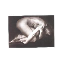 Signed Edwards Cygnet Lithograph