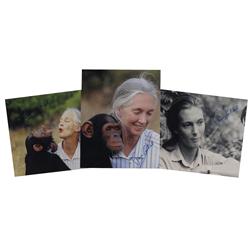 Jane Goodall