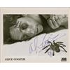 Image 1 : Alice Cooper