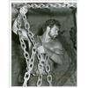 Image 1 : Steve Reeves