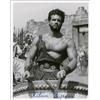 Image 2 : Steve Reeves