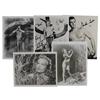Image 1 : Tarzan
