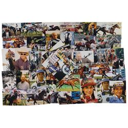 Horse Racing