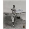 Image 1 : Ted Williams