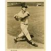 Image 1 : Ted Williams