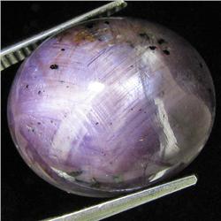 32.75ct Natural Star Ruby Well Patterned  (GEM-32153)