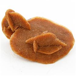 565ct Desert Rose Crystal Cluster (MIN-000333)