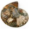 Image 2 : 1435ct Opalized Crystalized Lg Ammonite Cut Half (MIN-000016)