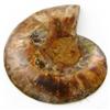 Image 2 : 1495ct Opalized Crystalized Lg Ammonite Cut Half (MIN-000031)