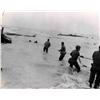 Image 1 : WWII Photo Rescue