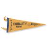 Image 1 : MLK 1963 March Pennant