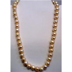 16" Single Strand Pearl Necklace
