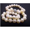 Image 2 : 16" Single Strand Pearl Necklace