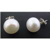Image 1 : Pearl Earring Set