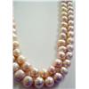 Image 3 : Double Strand Tri-Color Pearl Necklace