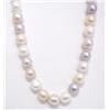 Image 4 : Tahitian Pearl Necklace w/ $1,976- Appraisal