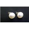 Image 1 : Pearl Earring Set