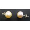 Image 1 : Pale Peach Pearl Earring Set
