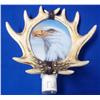 Image 3 : Eagle Decor and Night Light
