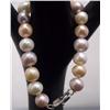 Image 2 : Tri Colored Fresh Water Pearl Bracelet
