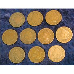422. (10) Indian Head Cents dating in the 1800s.