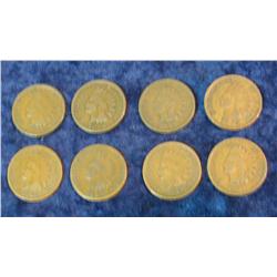 711. 1888, 1895-97, 1902, 03, 05, & 07 Indian Cents. G-4. (8 pcs.)