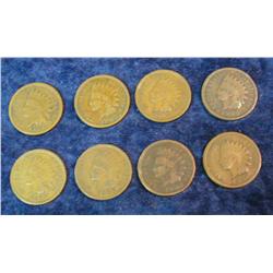 712. 1888, 90, 93, 1902, 03, 05, 06, & 07 Indian Cents. G-VG. (8 pcs.).