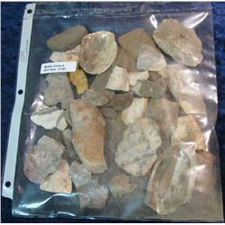 742. Collection of Flint and Shells from a local Native American Indian Site.