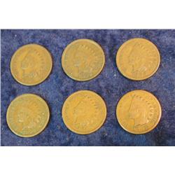 1451. 1887, 1899, 1900, 03, 04, & 07 Indian Cents. G-VG.