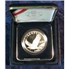 2053. 2008 P Proof Silver Bald Eagle Commemorative
