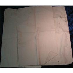 2061. (3) Blank Large Canvas Money Bags.