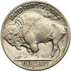 Image 2 : 1918-D Buffalo 5C
