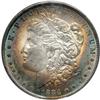 Image 1 : 1884-O Morgan $1 NGC MS61