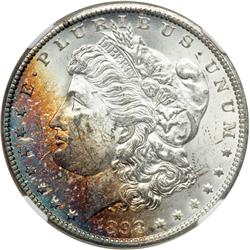 A trio of beautifully toned NGC-MS-63 Morgans