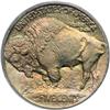 Image 2 : 1913 Buffalo 5C. Type 1