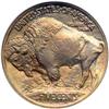 Image 2 : 1913 Buffalo 5C. Type 1 NGC Proof 66