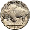 Image 2 : 1919-D Buffalo 5C