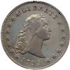 Image 1 : 1795 Flowing Hair $1. 2 Leaves NGC EF40