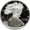 Image 1 : 1995-W $1 Eagle NGC MS70 RB