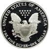 Image 2 : 1995-W $1 Eagle NGC MS70 RB