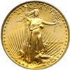 Image 1 : 1989 $25 Eagle