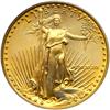 Image 1 : 1989 $25 Eagle