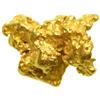 Image 1 : Australian Gold Nugget