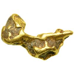 Gold Nugget 0.90 ozt. (28gr.)
