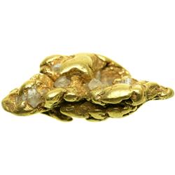 Gold Nugget 0.98 ozt (30.4 gr)
