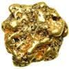 Image 1 : Gold Nugget 1.61 ozt. (50.2 gr.)